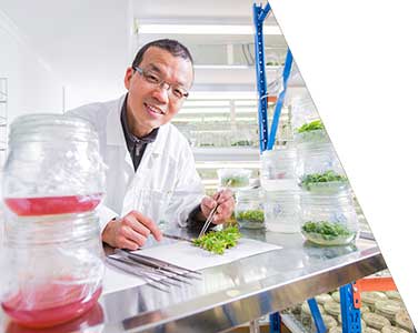 agriculture research