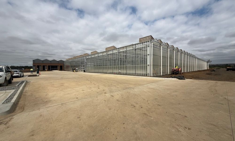 Rijk Zwaan&rsquo;s new glasshouse, with brown vents along the roof and brown and grey office buildings to the left of the photo. Three people can be seen standing in the background, in front of the glasshouse entrance, while a tractor is visible to the right of the photo along a soil path that runs along the side of the building.