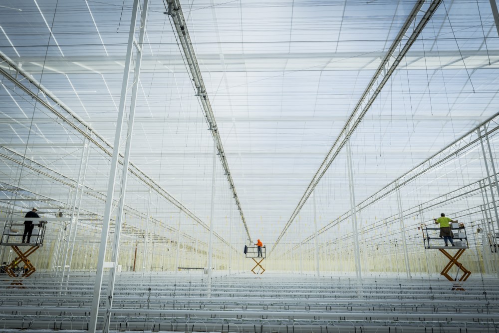 Inside of the new glasshouse for Flavorite in Tatura, with scissor lifts installing internal structures for the tomato vines