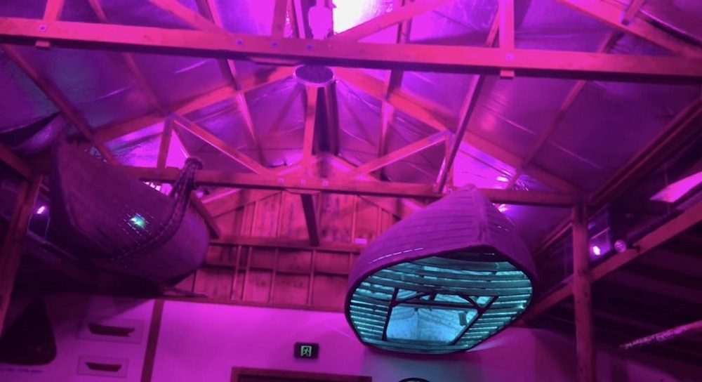 The ceiling of a boat shed with pink lighting and boats hanging upside down and being lit up in blue. 
