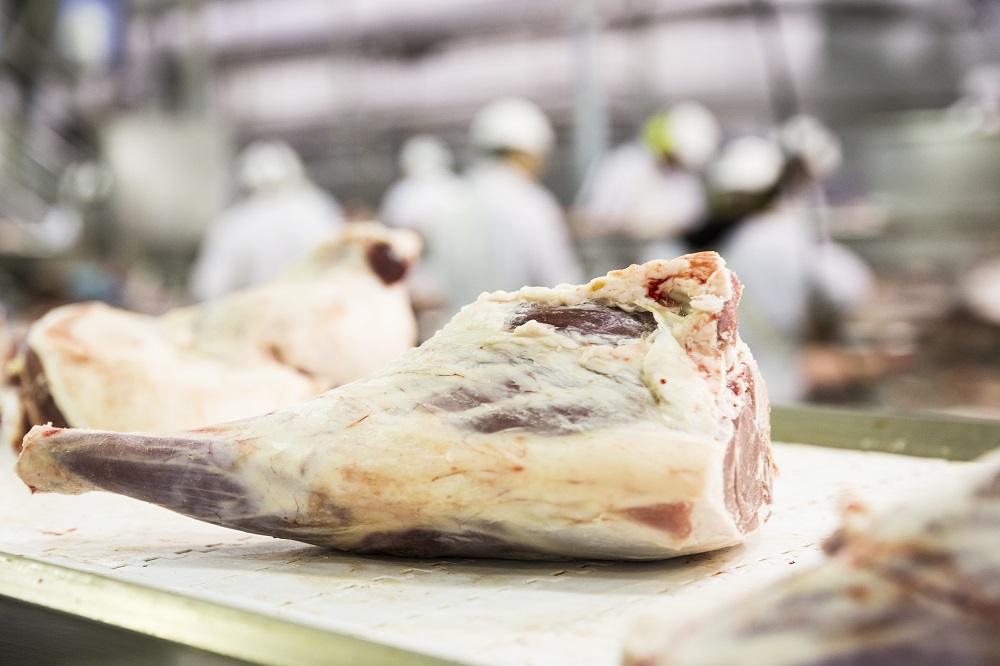 Raw leg of lamb, with abattoir workers visible in the background.