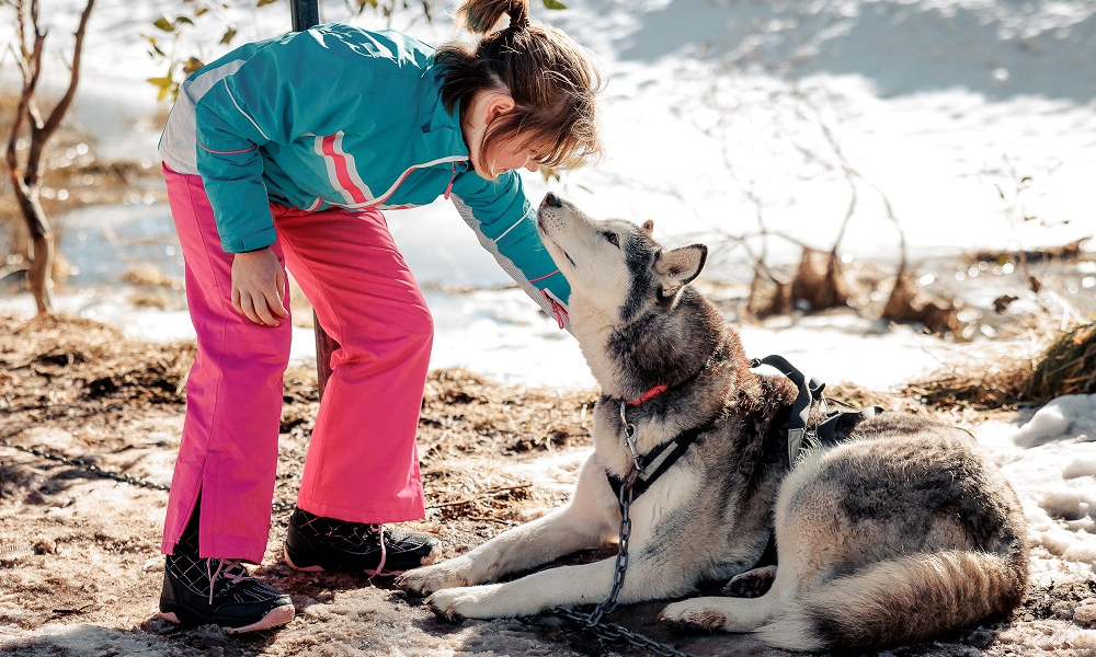 Child with Husky dog at Dinner Plain