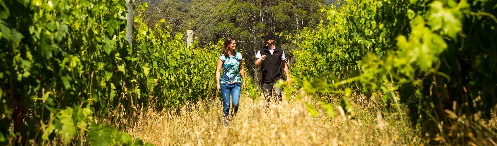 People walking through vines