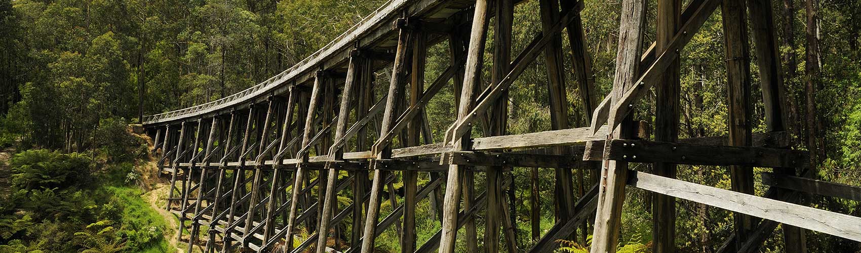 Wooden Trestle Bridge in West Gippsland