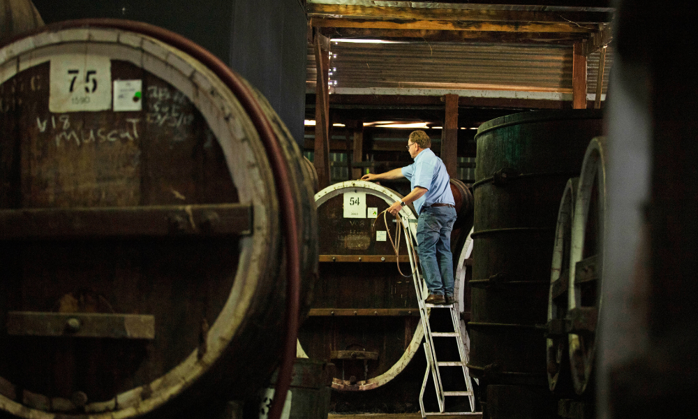 Man on ladder inspecting barrels in Cellar Door at Morris of Rutherglen