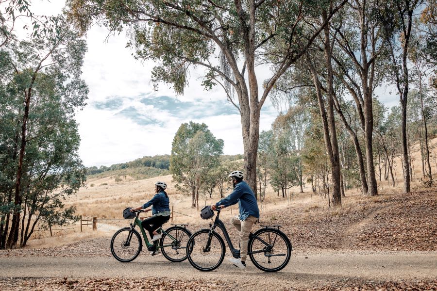 A couple of people riding bicycles on a dirt road.