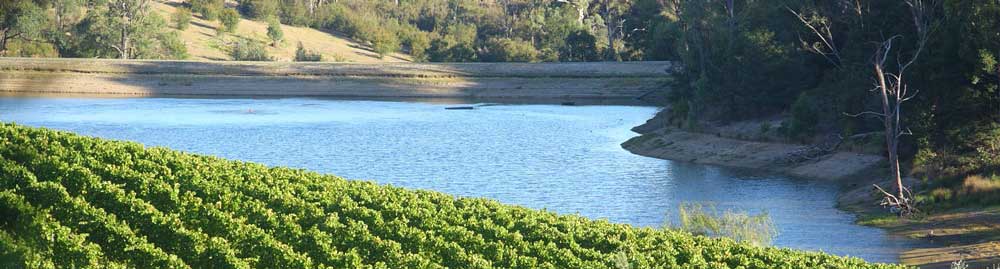 Grape vines overlooking a waterway in regional Victoria