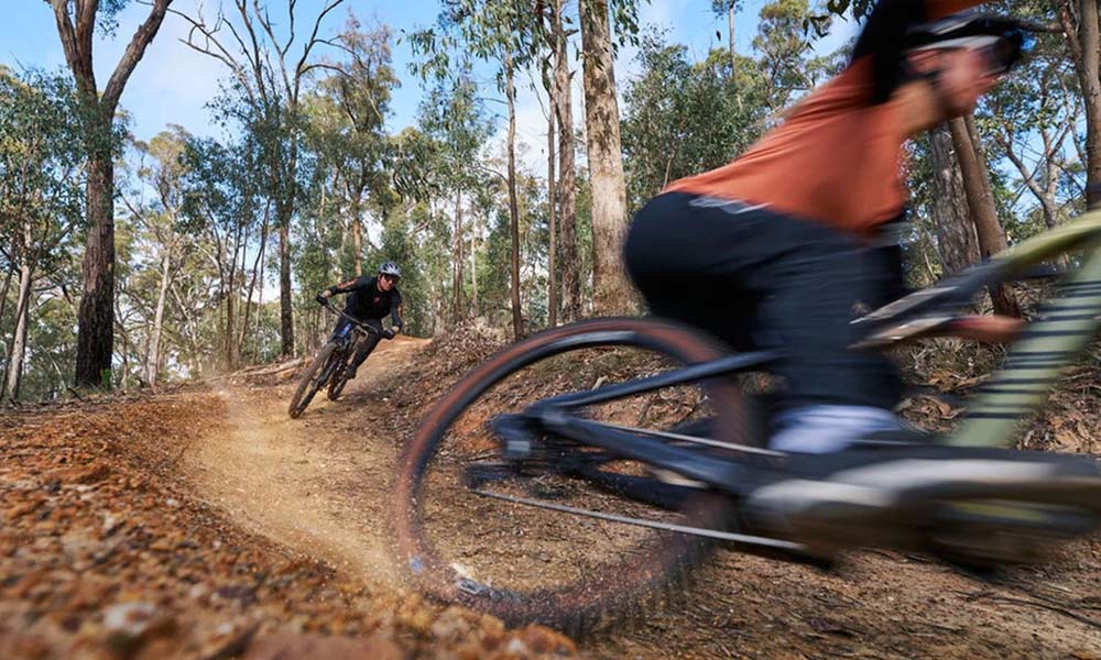 Shows two riders travelling downhill on a dirt trail, surrounded by gum trees. The rider in the bottom right of the image is slightly blurry due to their speed, and their back wheel is kicking up dust and rocks. The rider in the top left of the image is following them down the trail, leaning to the right as they take a turn in the trail. 