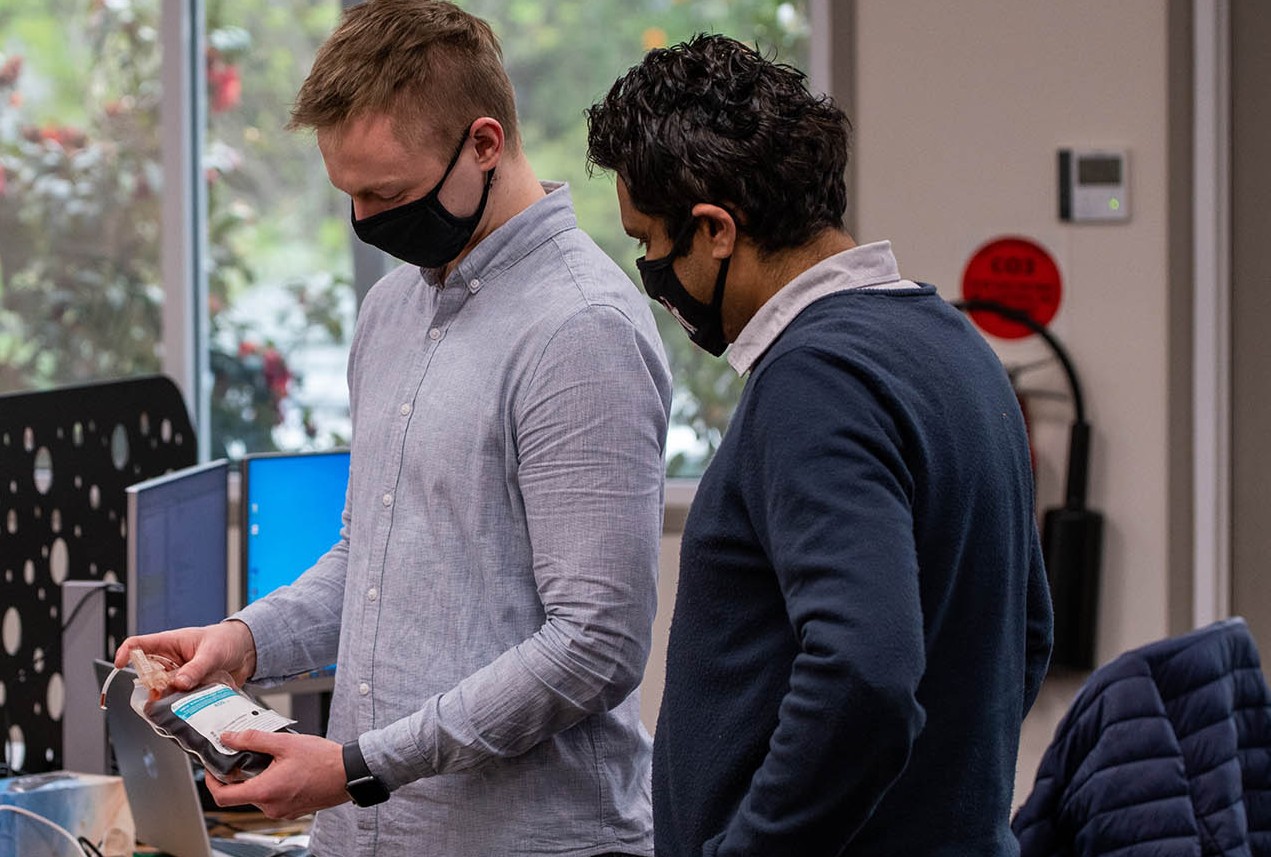 Two people viewing a blood sample.